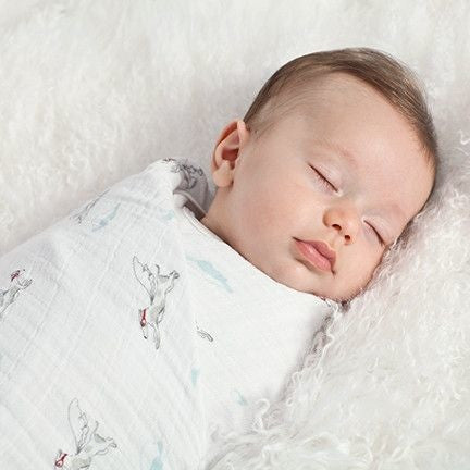 Aden Anais Classic Muslin Swaddle Blanket 2 Pack (Liam the Brave - Medallions and Flying Dog)