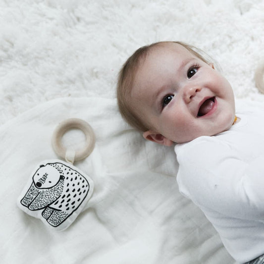 TOP 5 Organic Baby Teethers in 2026
