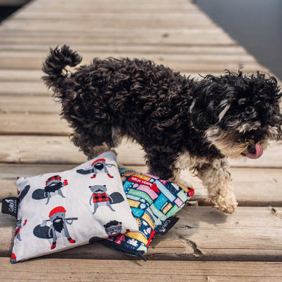 Colibri Reusable Large Snack Bag -  Beaver