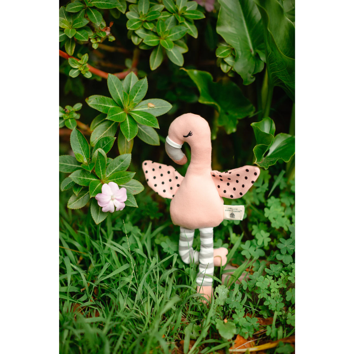 Organic Farm Buddies Organic Cotton Plush Toy - Franny Flamingo 14"