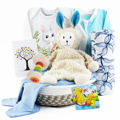 Zeronto Baby Boy Gift Basket - Little Bunny Boy