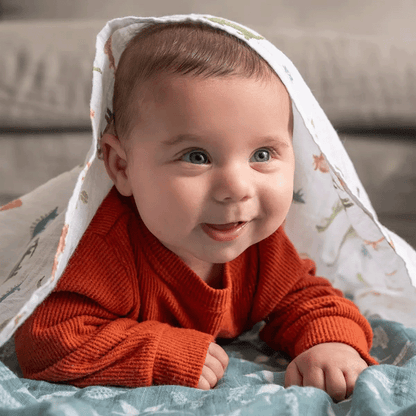 Aden Anais Essential Cotton Swaddles - Dino Jungle