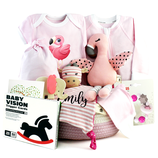 Baby Girl Gift Basket - Pink Flamingo & Friends