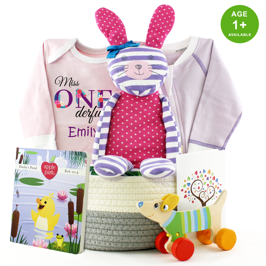 Zeronto Baby Girl First Birthday Gift Basket - Miss One-derful Girl & Friends