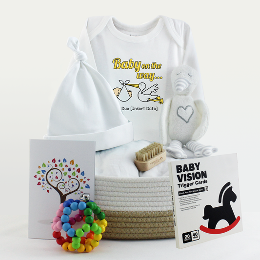 Zeronto Baby Gift Box - Stork Delivering Blessing To The Family