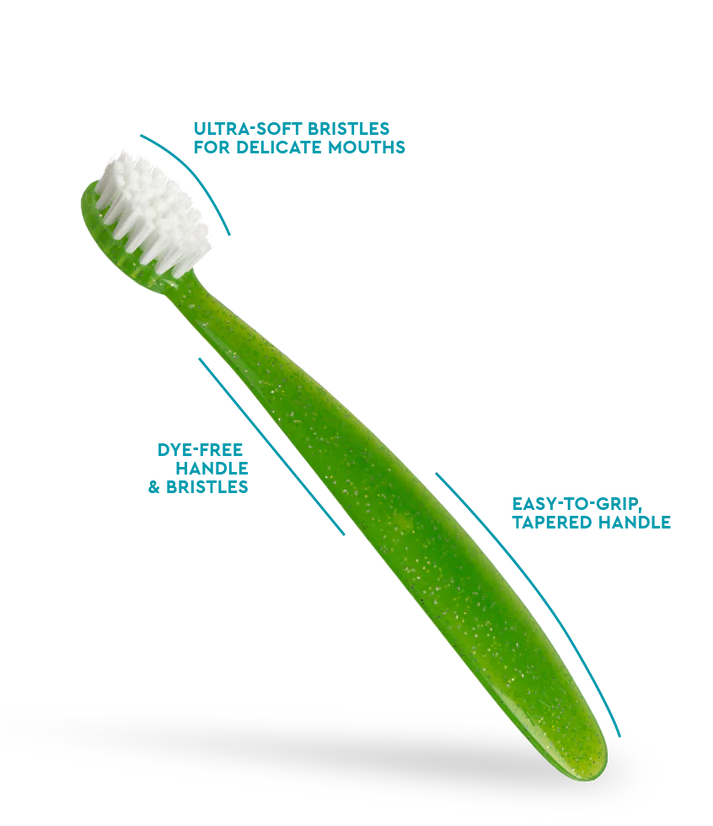 Radius Totz Toothbrush (Green)
