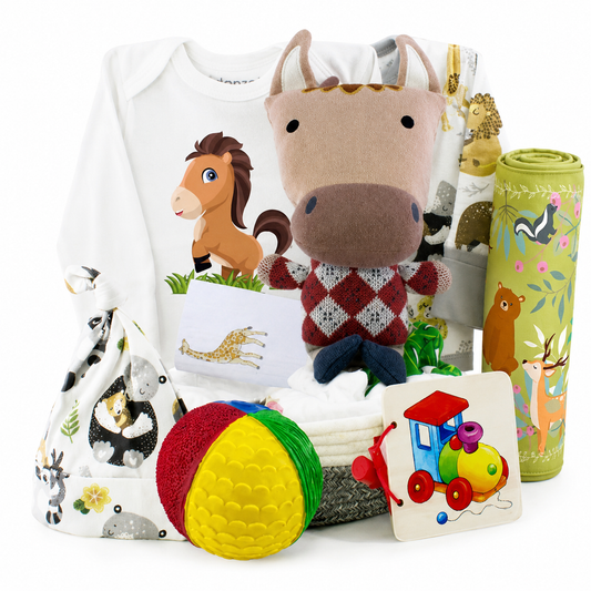 Zeronto Baby Gift Basket - Little Horse Galloping into the World