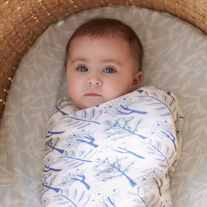 Wrapped with Muslin Swaddle Blanket (Blue Forest) + Blankie Toy (Robbie Raccoon)