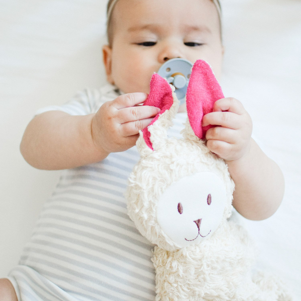 Zeronto Baby Girl Gift Basket - Little Bunny Girl