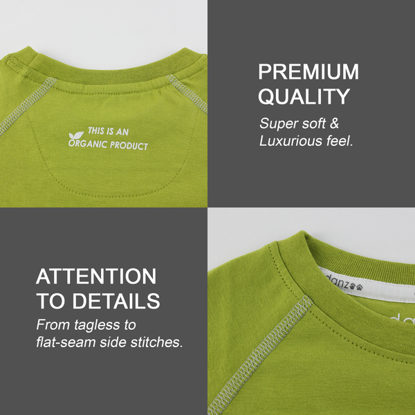Be Irish Organic Short Sleeve Kids Tee Shirt (Green)