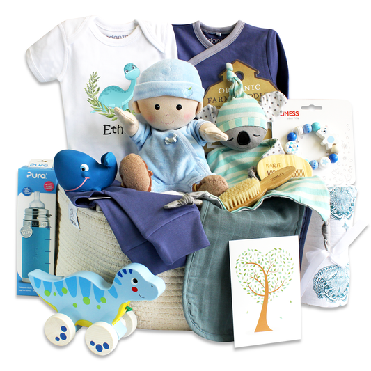 Zeronto Baby Boy Gift Basket - Happy Little Dino & Friends