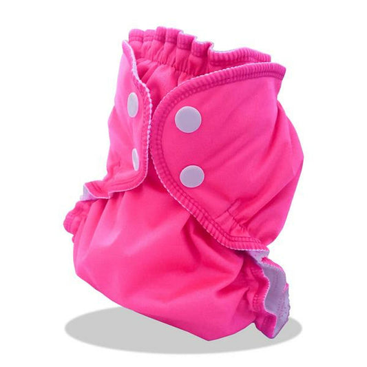 AppleCheeks Little Bundle with Stay Dry Microterry Insert - Size 1