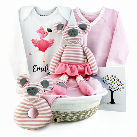 Zeronto Baby Girl Gift Basket - Little Ballerina Friends