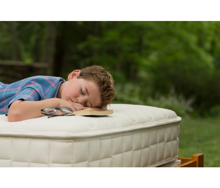 Naturepedic verse organic outlet mattress