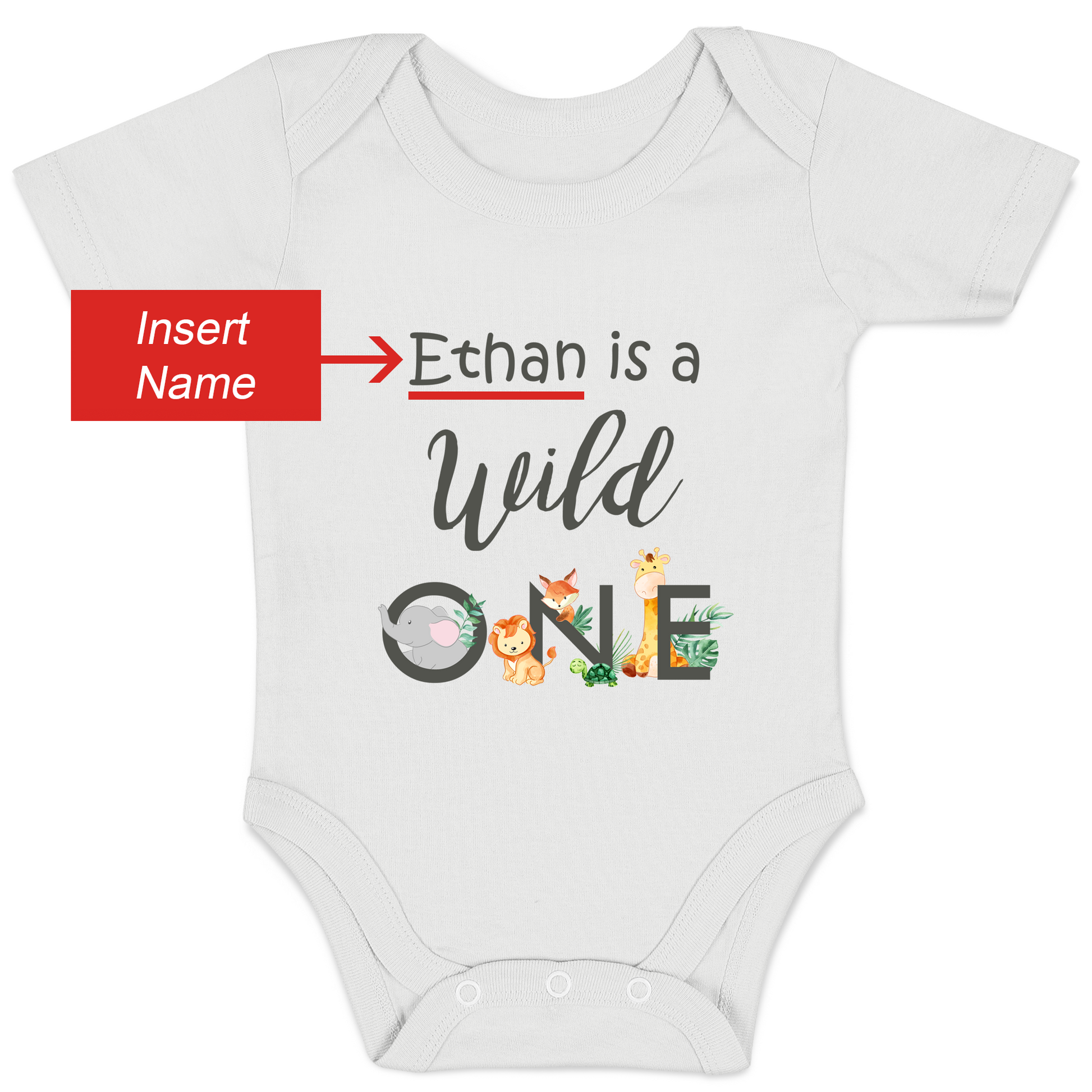 First birthday 2025 onesie canada