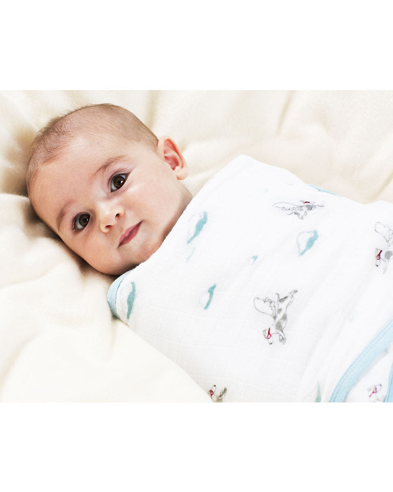 Aden Anais Classic Muslin Swaddle Blanket 2 Pack (Liam the Brave - Medallions and Flying Dog)